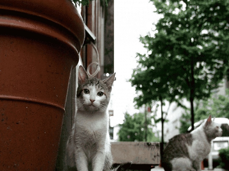 试管激素下午抽血塑料试管图片高清试管多久才着床